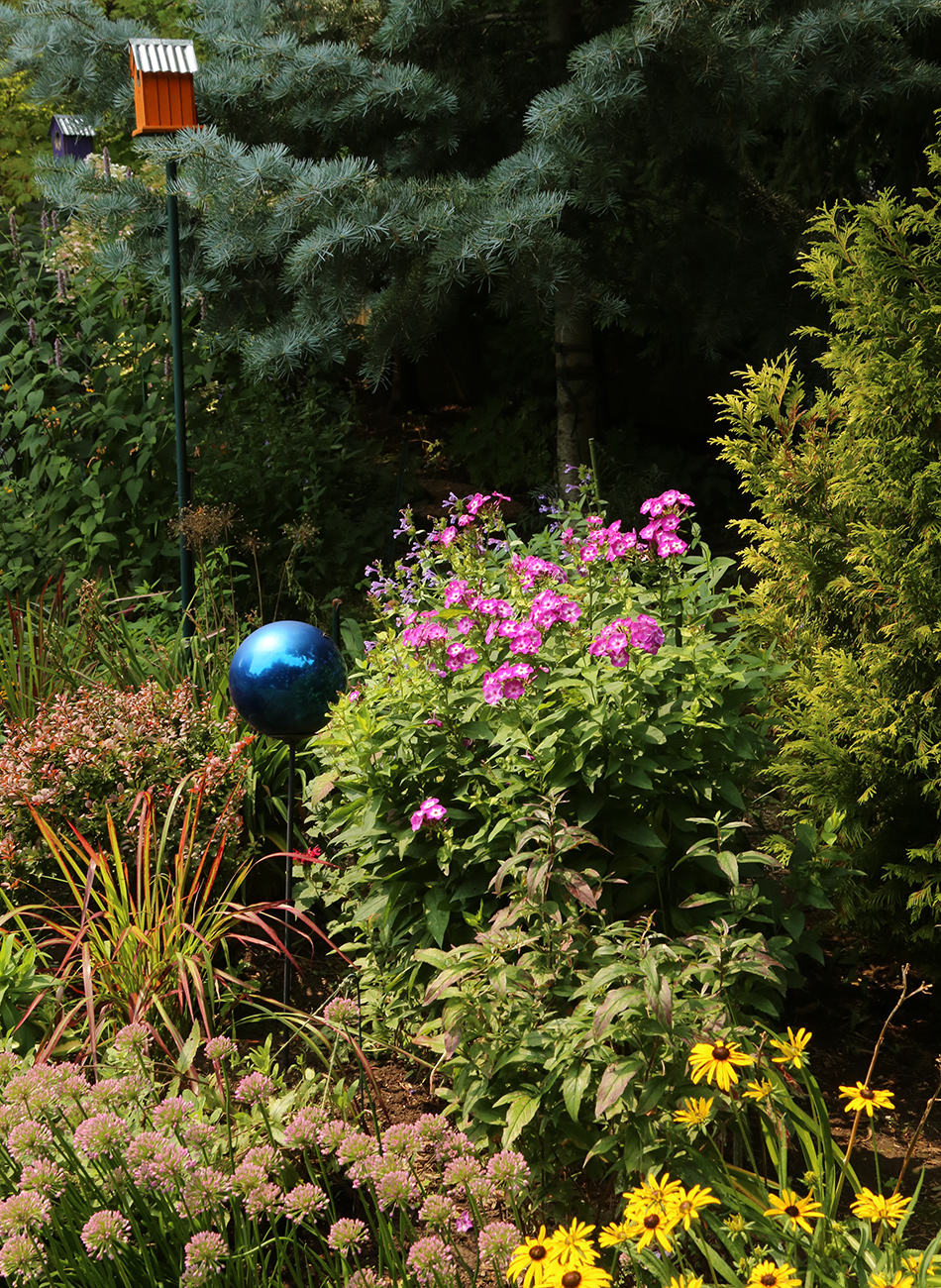 sunny garden bed with pink and yellow flowers