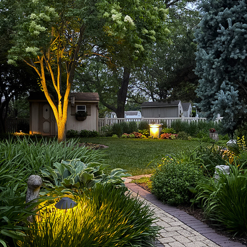 backyard garden at night