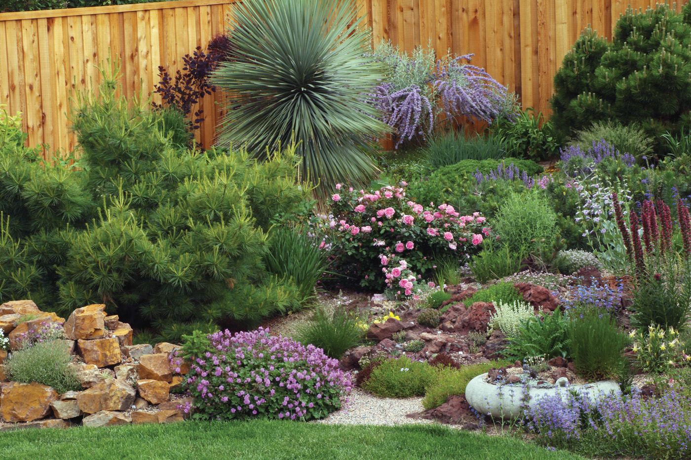 Layered garden border with roses