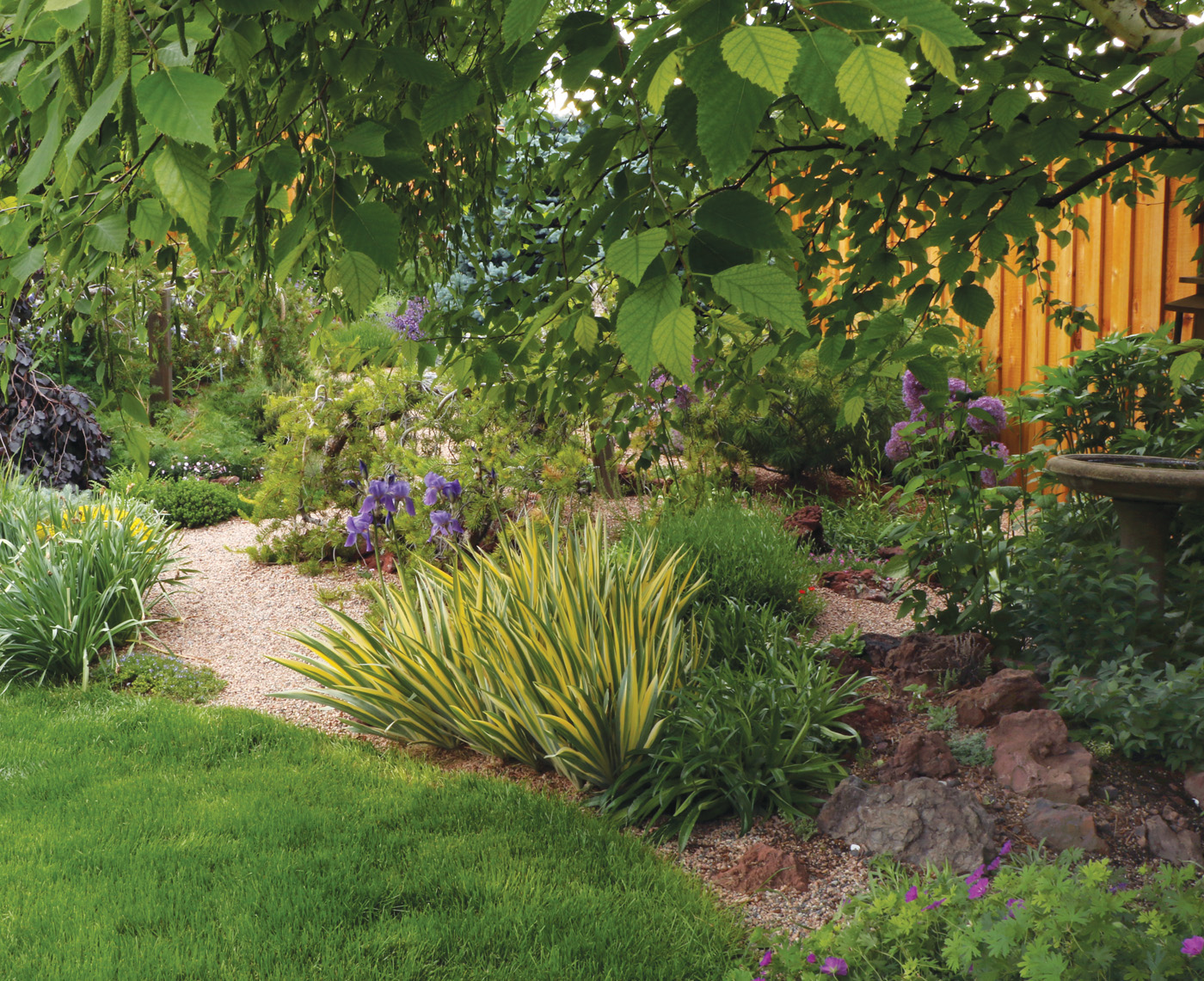Shady garden area with waterwise plants