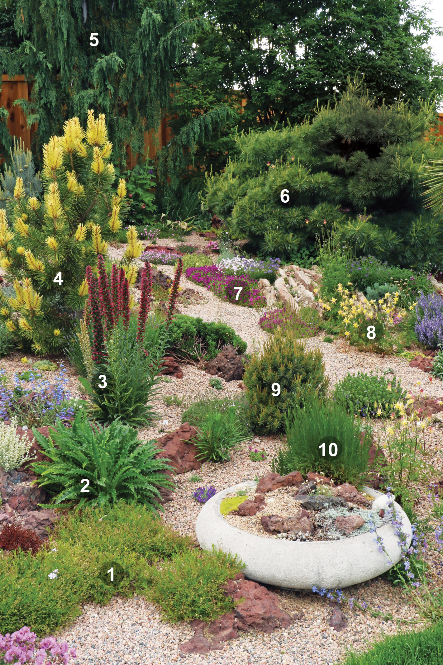 Camino de grava y plantas de jardín con números.