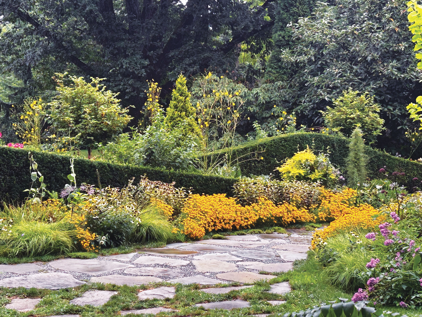 Shaped hedge of taxus Hicksii at Chanticleer courtesy of Joann Vieira