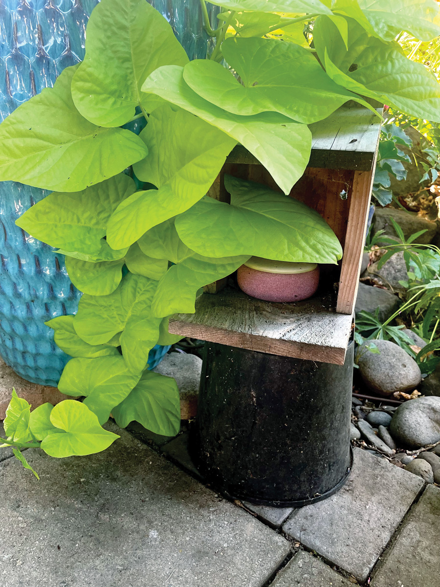 Refugio para altavoces de jardín de Jeffrey Steiner