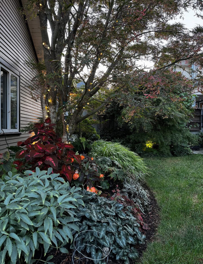 Cherry Looks Back at Her September Garden, Part 1 - Fine Gardening