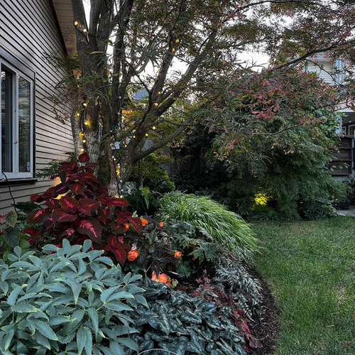 GPOD-Ong-7-perennial-garden-in