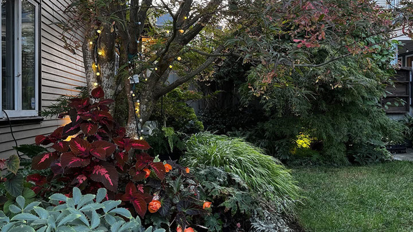Cherry Looks Back at Her September Garden, Part 1 - Fine Gardening