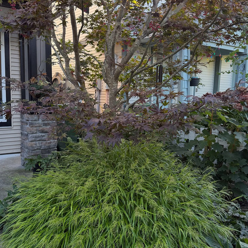 Cherry Looks Back at Her September Garden, Part 2 - Fine Gardening