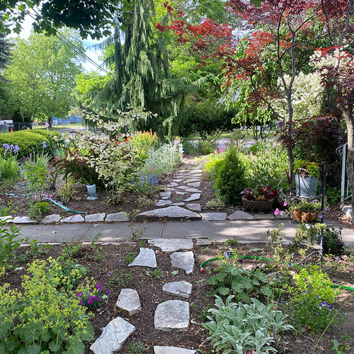 洋書　product as landscape A Transformative Project in Lisa's Idaho Garden - Fine Gardening