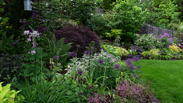 Nancy's Hillside Garden in Oregon: Then and Now - Fine Gardening
