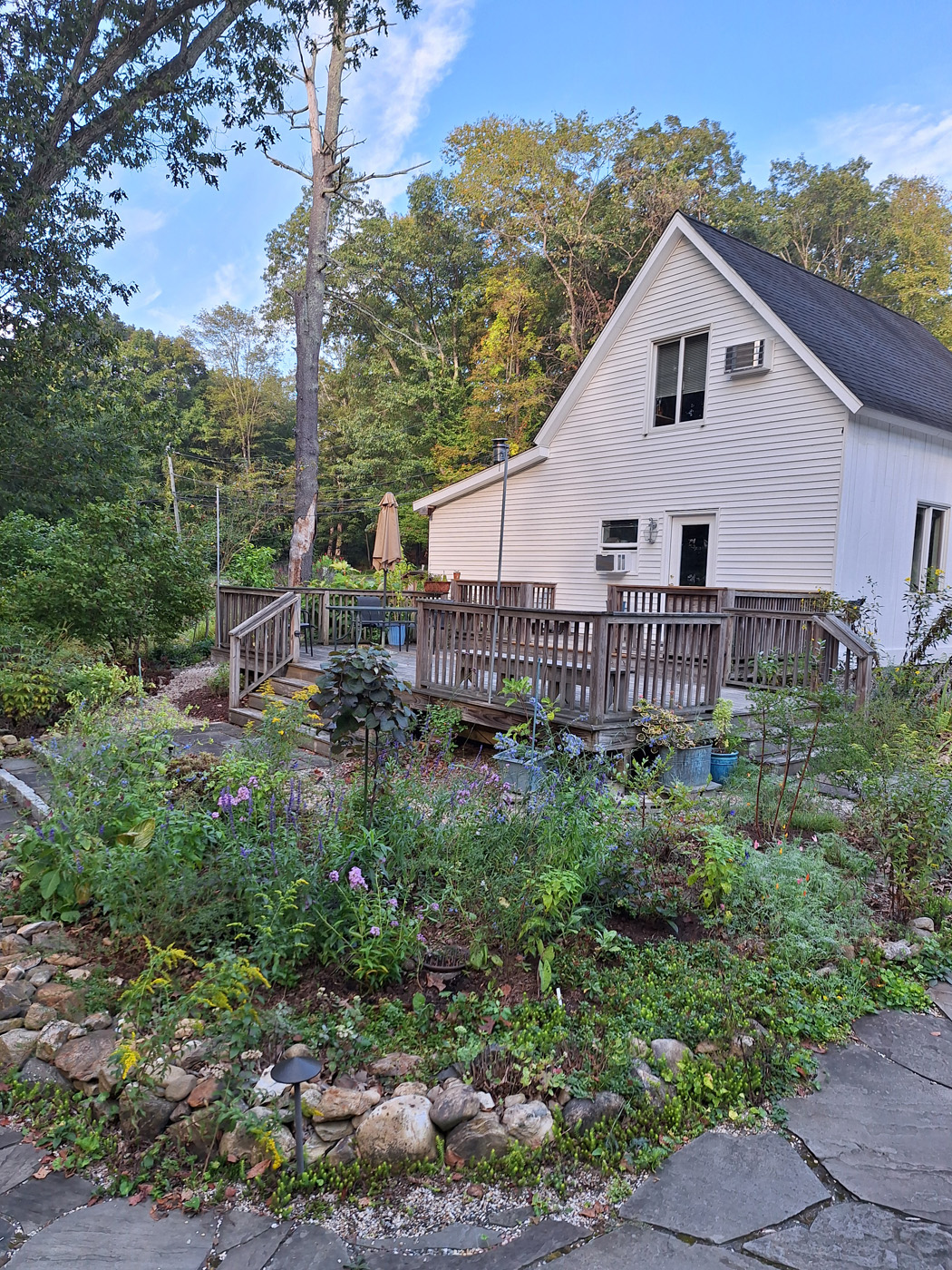 vista de la terraza trasera