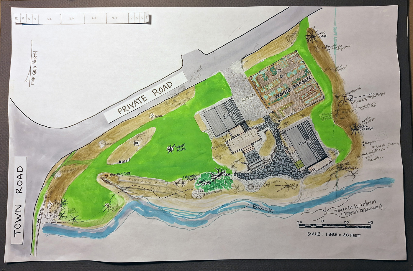 Plano de sitio de Carol Collins 1