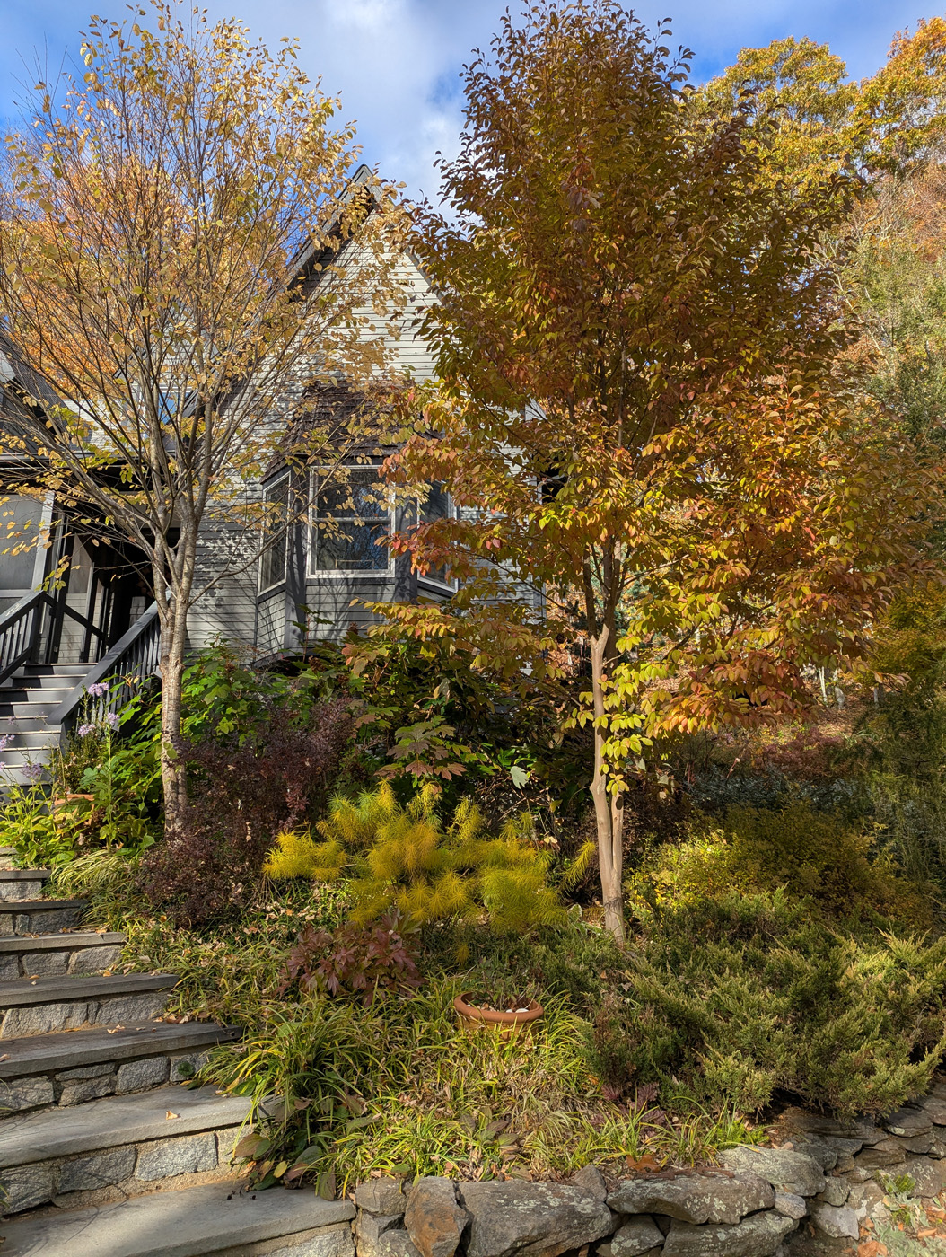 Hay árboles creciendo frente a la casa.