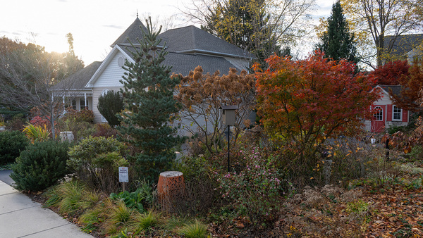 Kevin's Pennsylvania Garden in November - Fine Gardening
