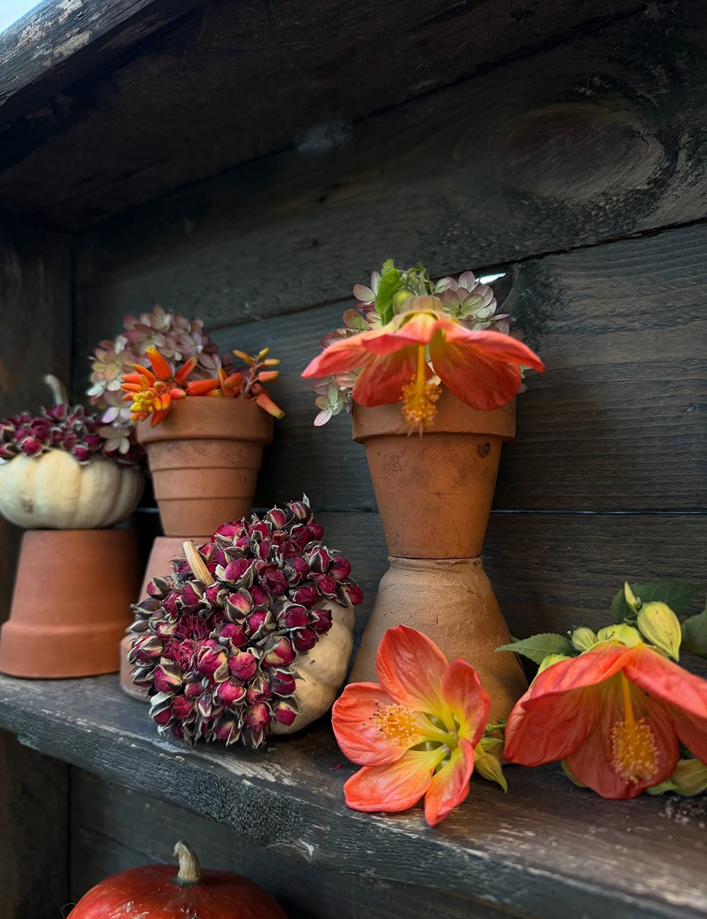 decorated pumpkins and orange flowers in fall display