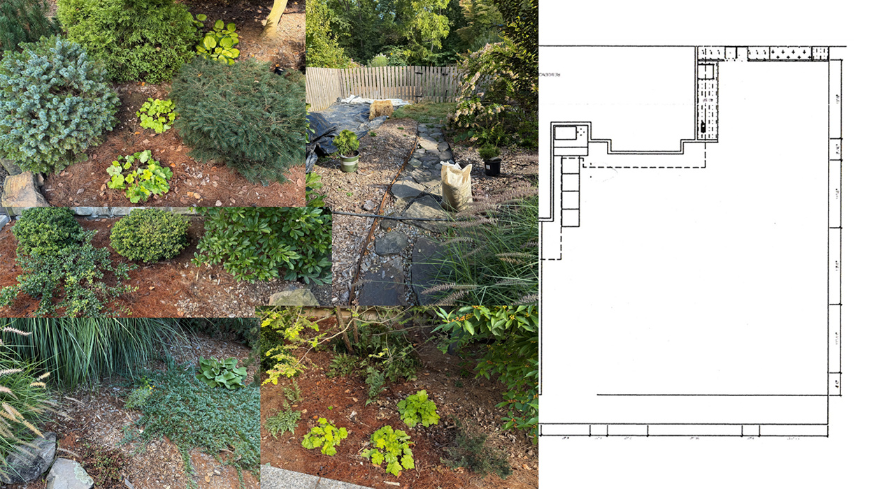 photo collage of garden with site plan