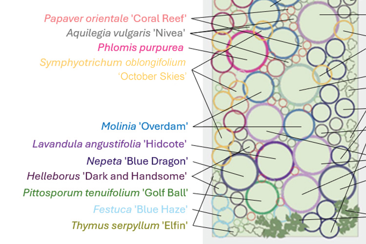 labeled and color coded garden layout