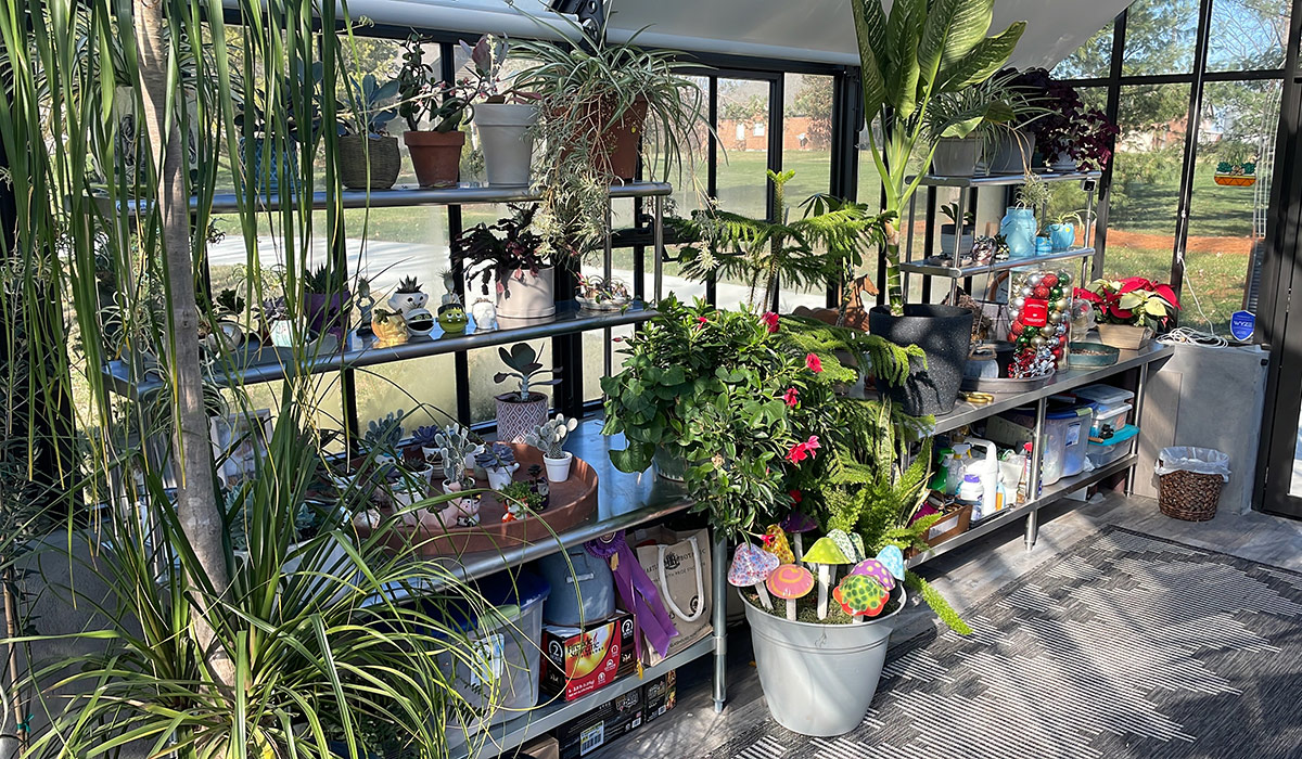 inside garden greenhouse