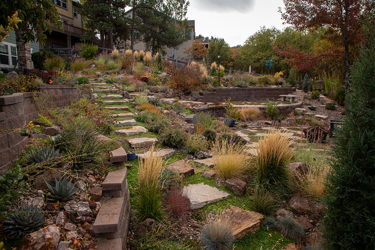 drought tolerant garden in fall