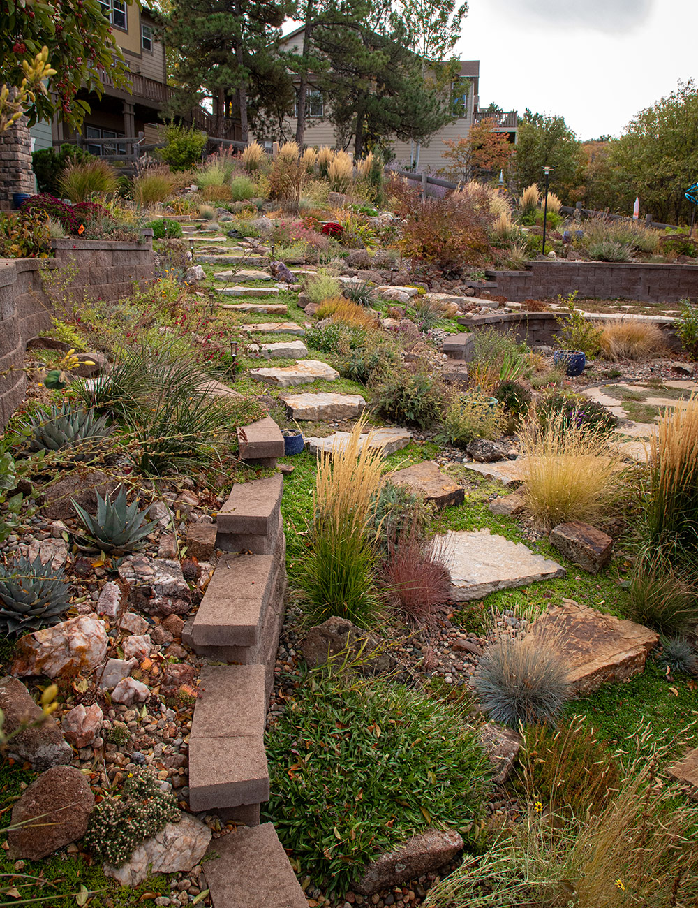 fall garden with ornatmental grasses