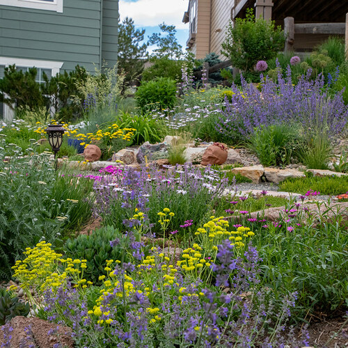 Ryan's Xeric Garden in Colorado - Fine Gardening