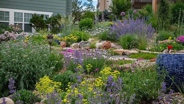 Ryan's Xeric Garden in Colorado - Fine Gardening