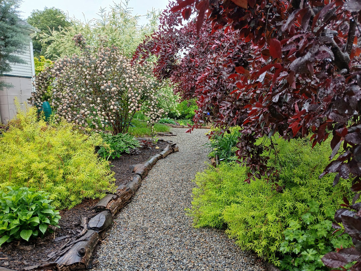 path in spring garden