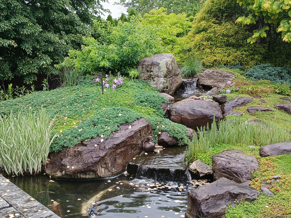 small waterfall on garden pond