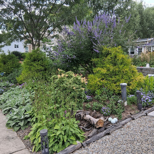 Marty’s 2025 Backyard Highlights, Half 4