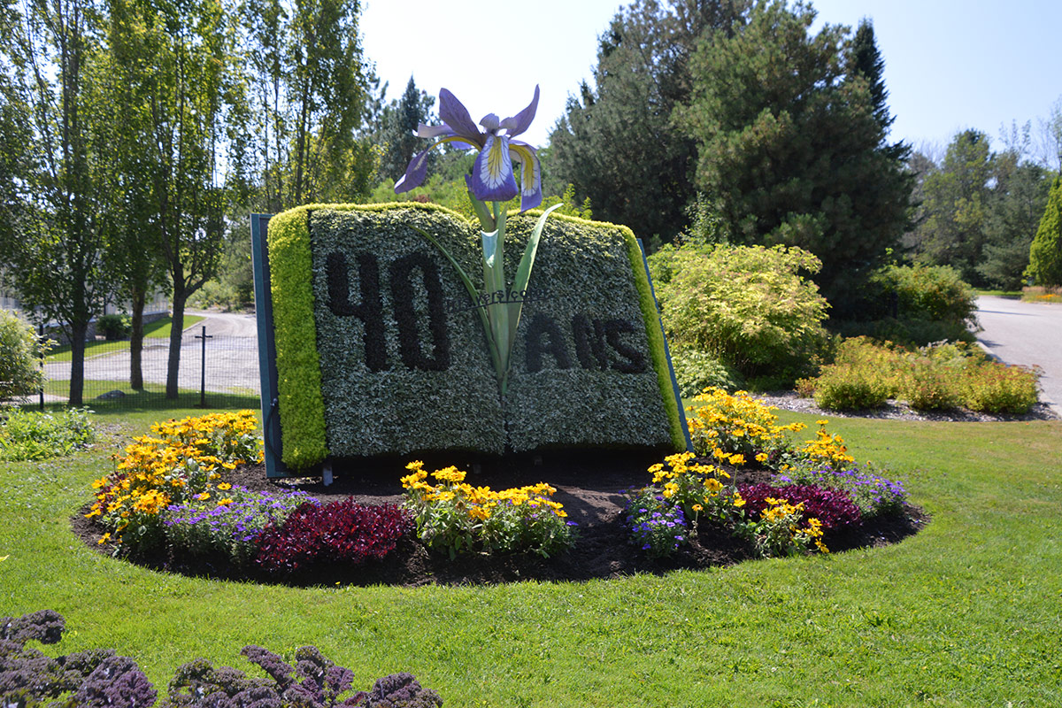 Parc Marie Victorin 40 year anniversary topiary
