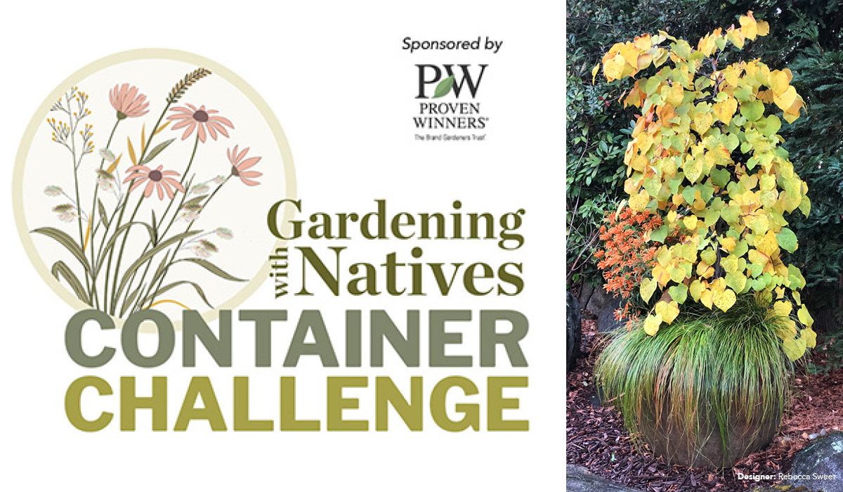 Native Container Challenge