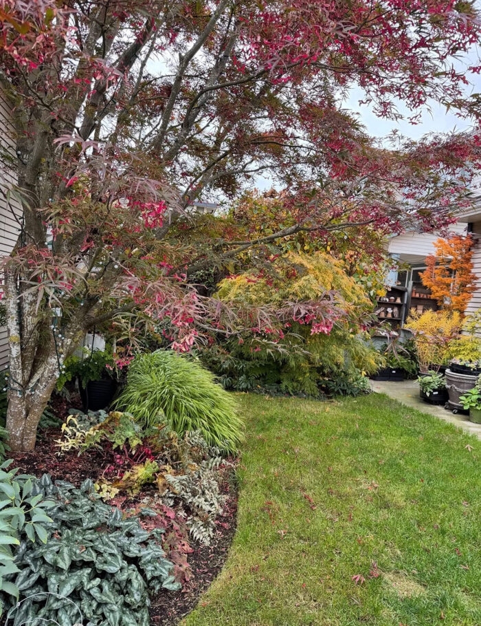 Cherry's October Garden in British Columbia - Fine Gardening