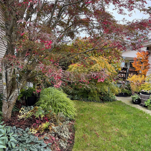 GPOD-Ong-5-small-fall-garden-