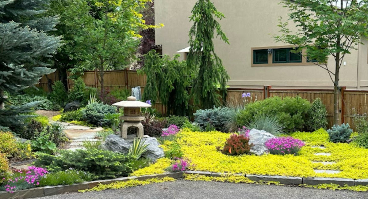 vibrant ground cover and pink flowers in front garden