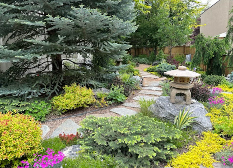 stepping stone path in front garden