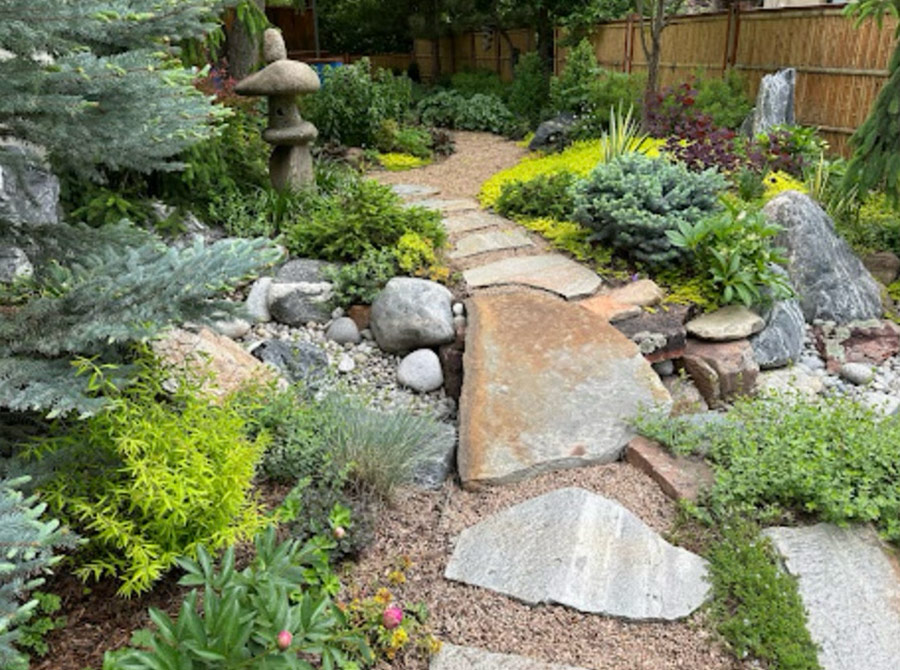 dry creek bed surrounded by evergreen plants