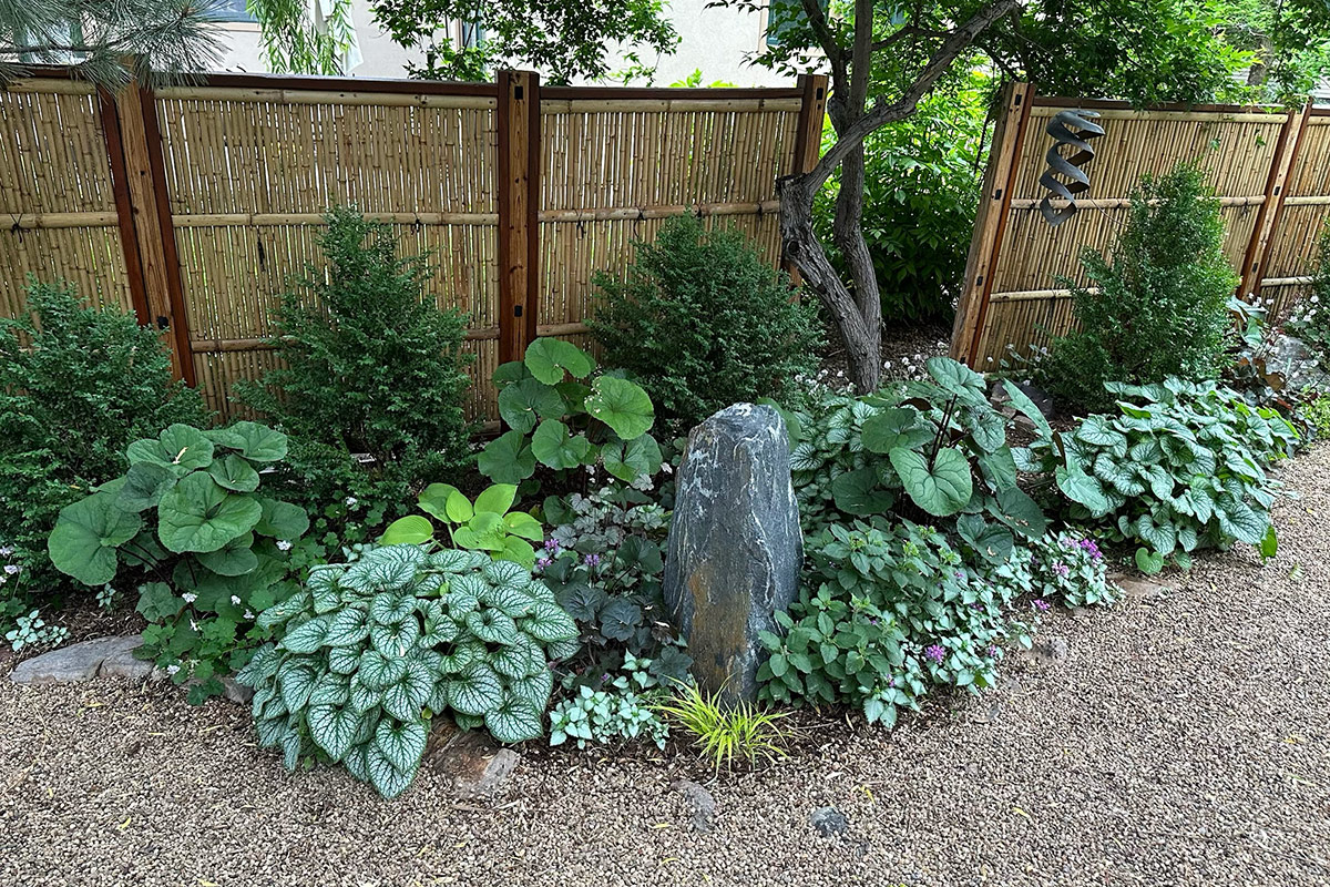shade garden along fence