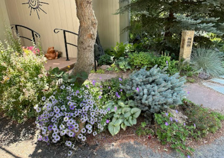 entryway shade garden