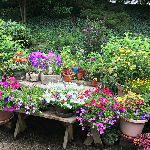 GPOD-Andrea-7-container-garden
