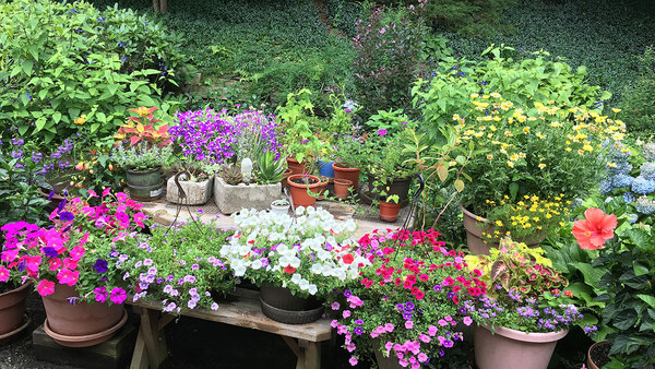 Jutta's Former Garden in New Jersey - Fine Gardening