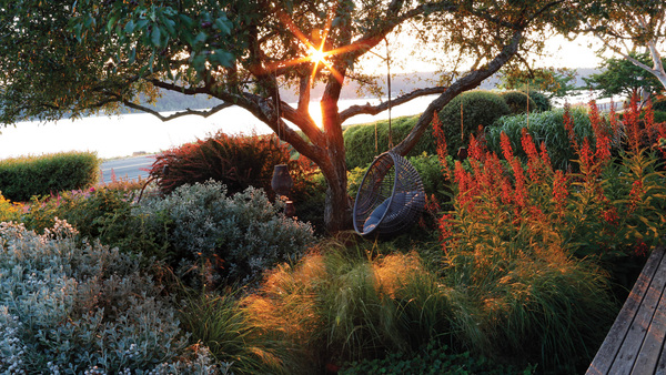 How to Plant in a Muddy Spot