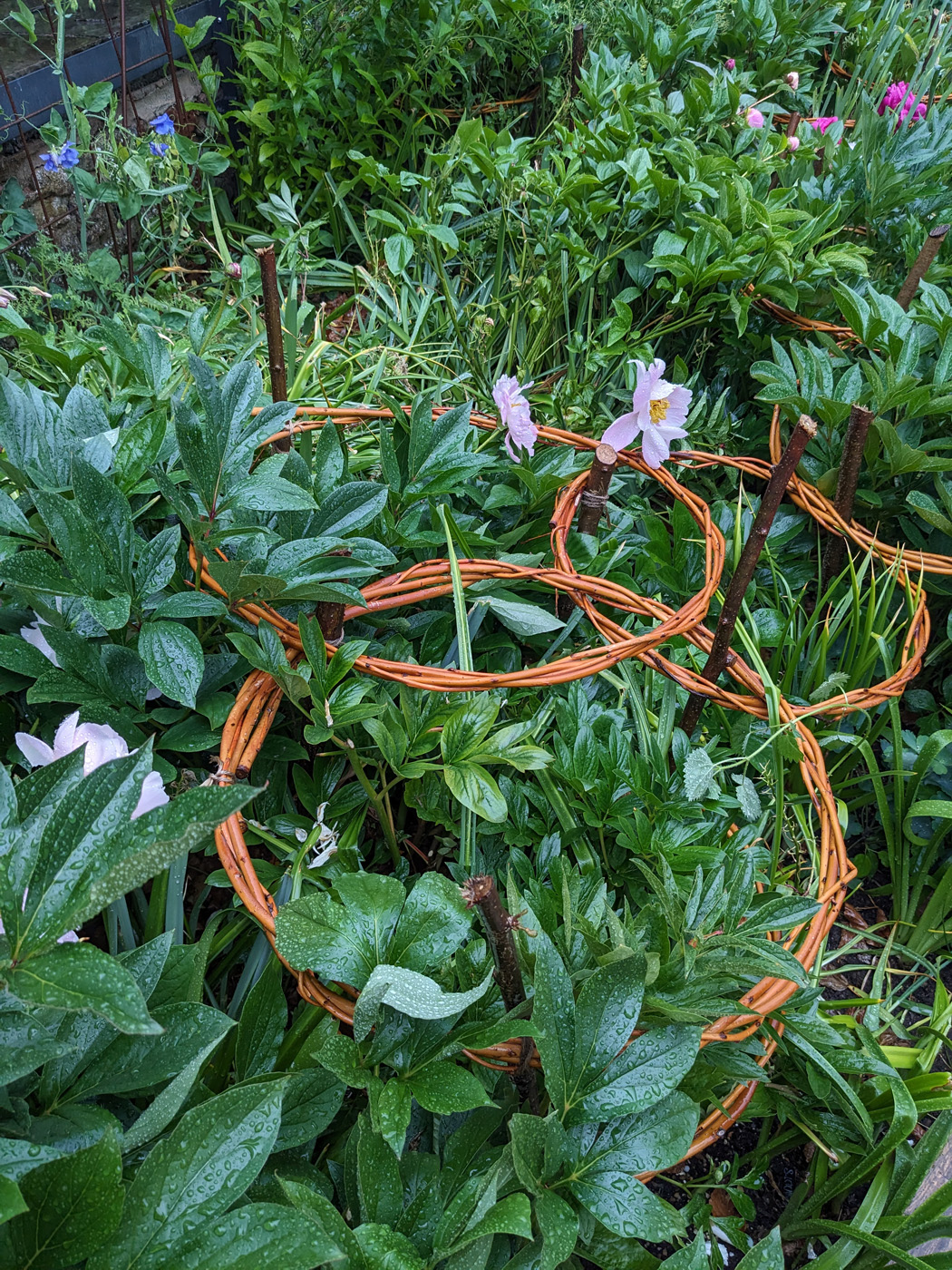 soportes naturales para plantas