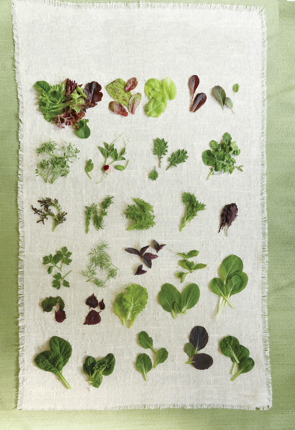 Carol Collins ensalada de verduras sobre un paño de cocina