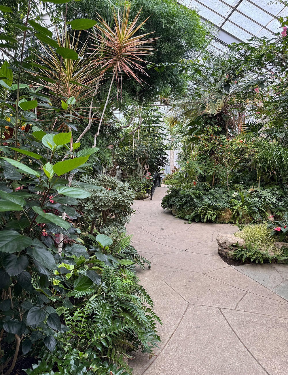 walkway in Centennial Park Conservatory in Toronto