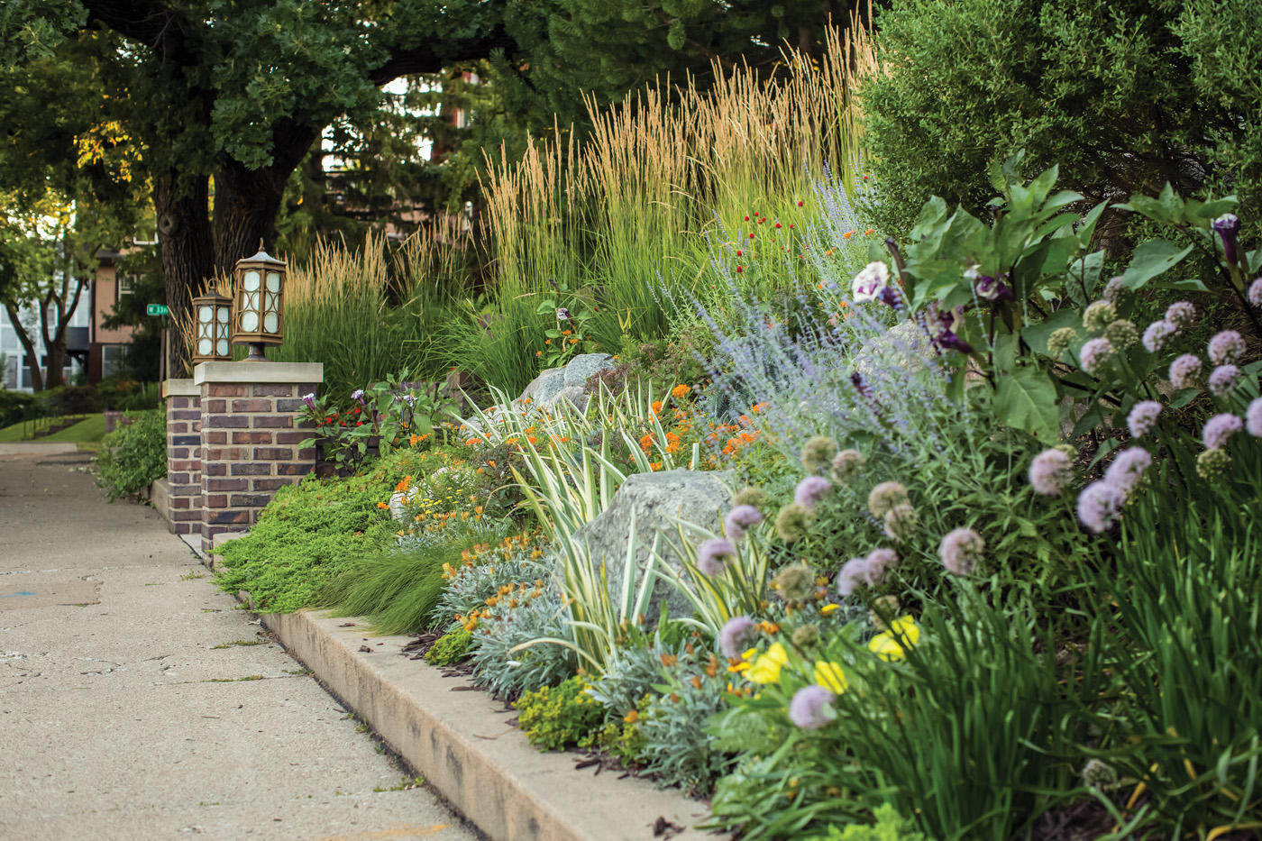 Front walk plantings closeup photo by Tracy Walsh