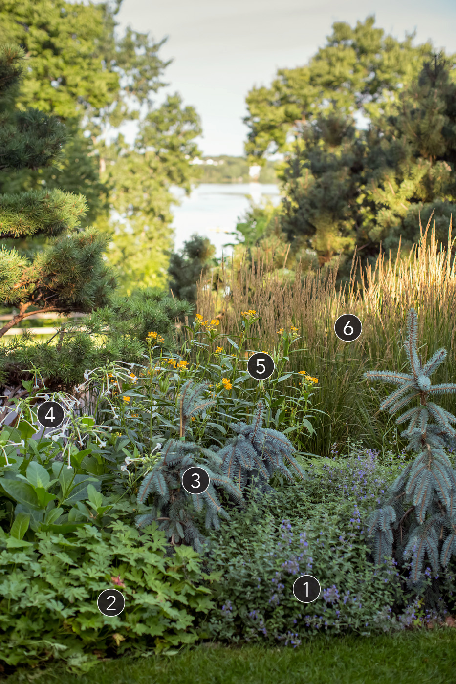 Numbered garden border Photo by Tracy Walsh