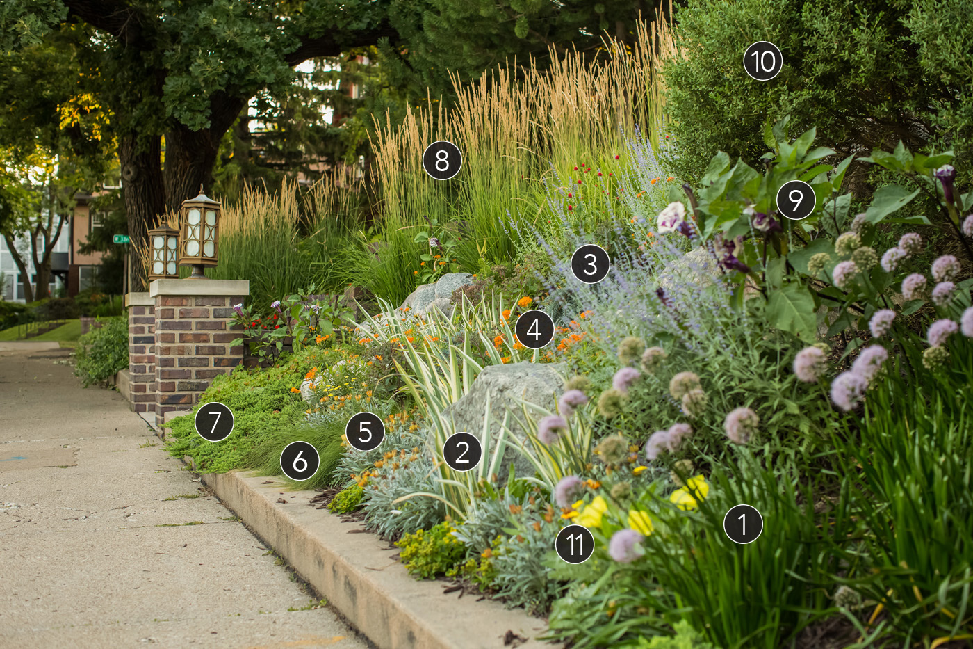 Front garden bed with numbered plant labels photo by Tracy Walsh