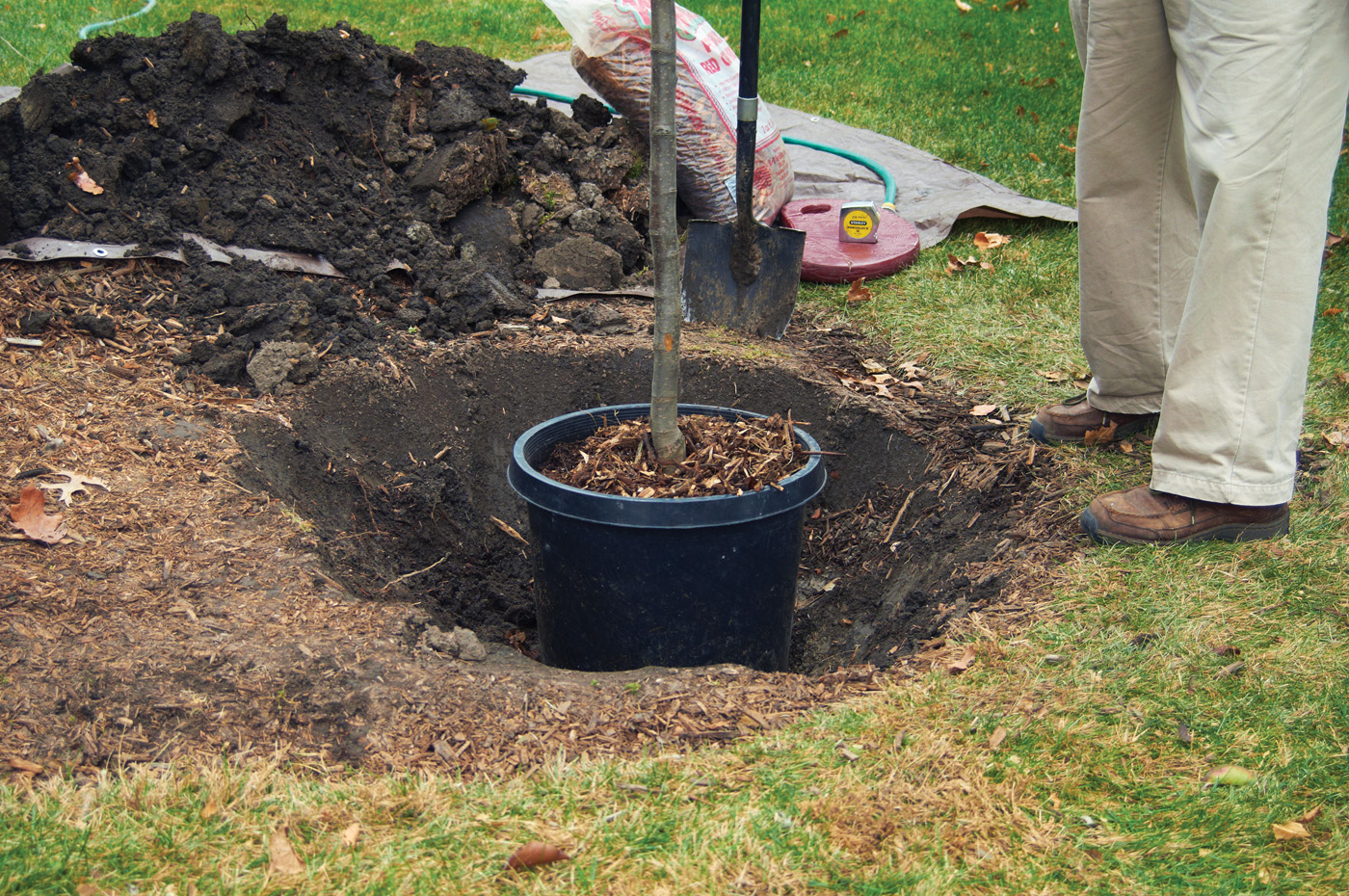 Planting a tree photo by Jack Coyier