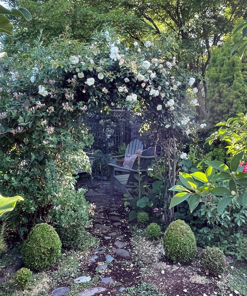 arbor covered in roses in front of seating area
