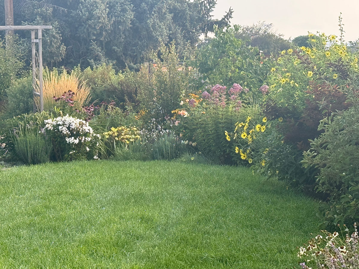 colorful garden border