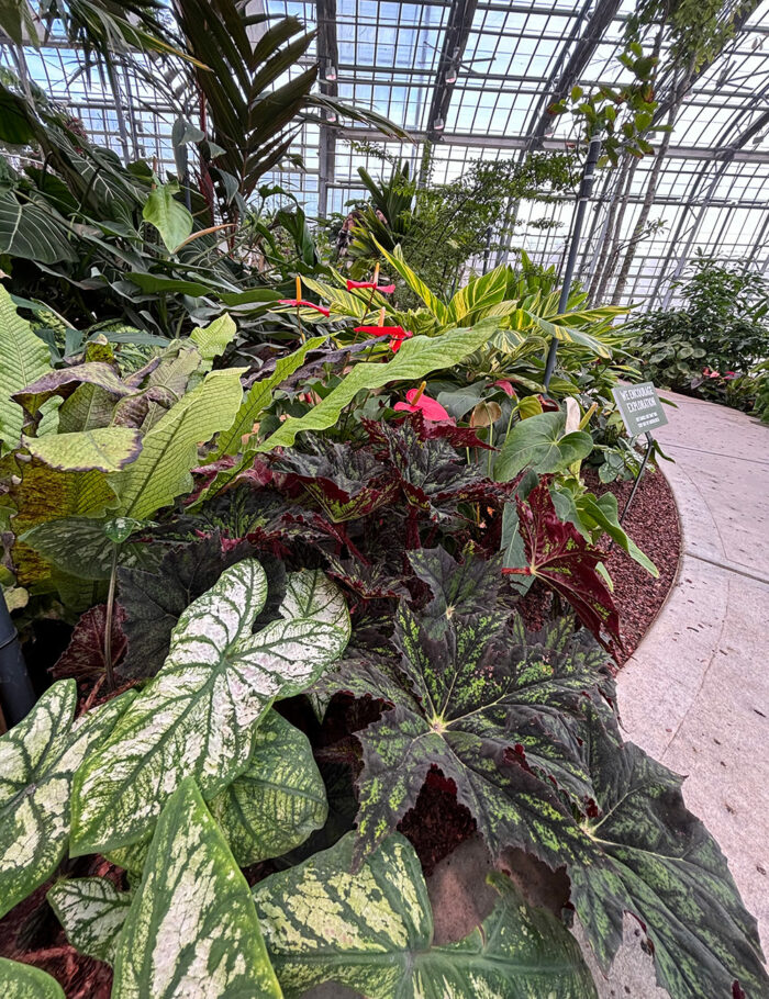 GPOD on the Road: Lauritzen Gardens - Fine Gardening